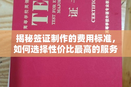 泾源揭秘签证制作的费用标准，如何选择性价比最高的服务？